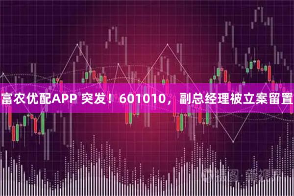 富农优配APP 突发！601010，副总经理被立案留置