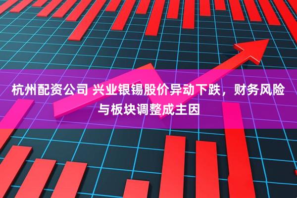 杭州配资公司 兴业银锡股价异动下跌，财务风险与板块调整成主因